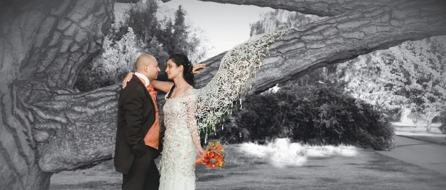 Bride and groom beneath a fallen tree branch, colour against a black and white garden