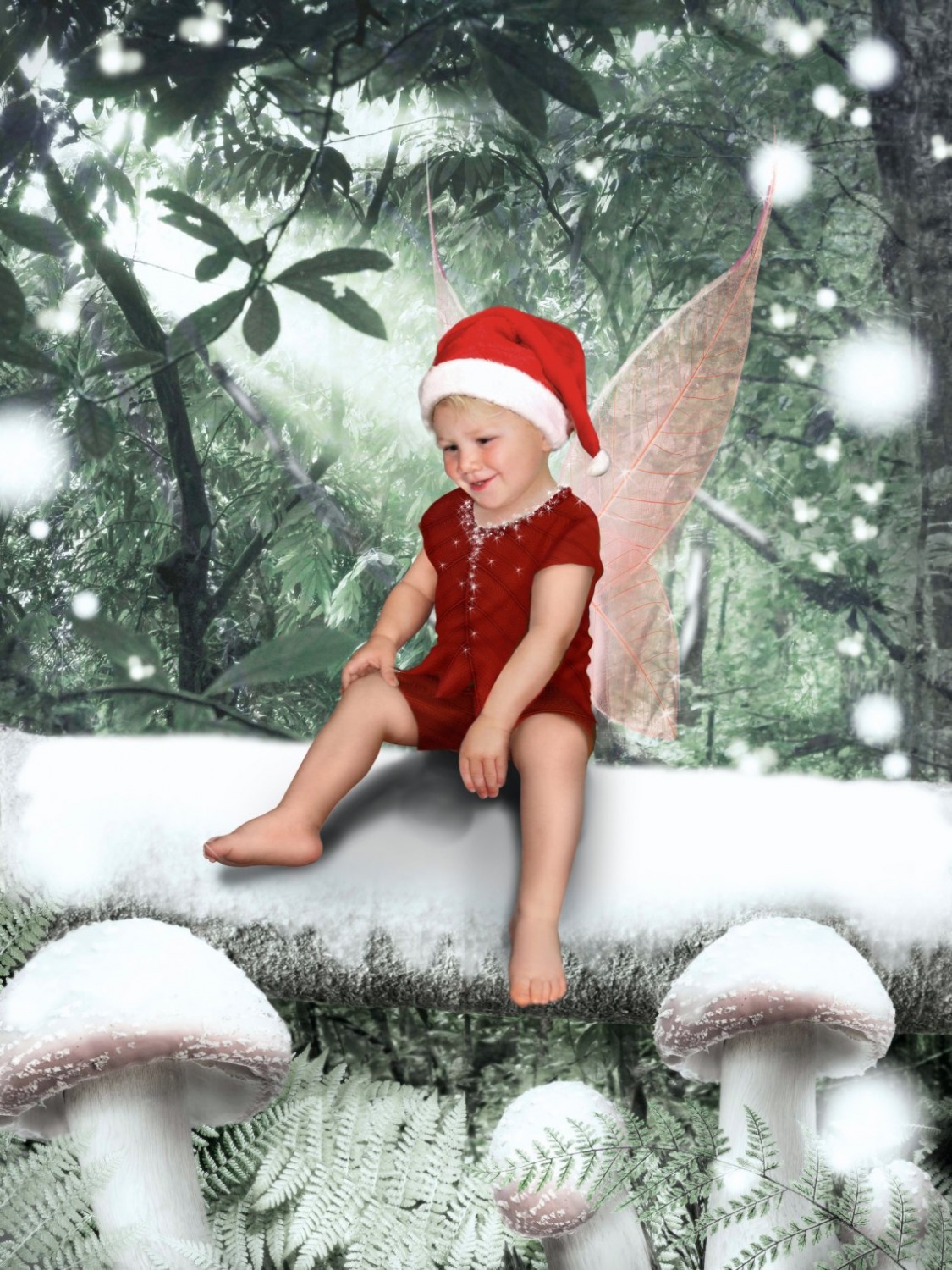 Studio portrait photography, Northwood Hills