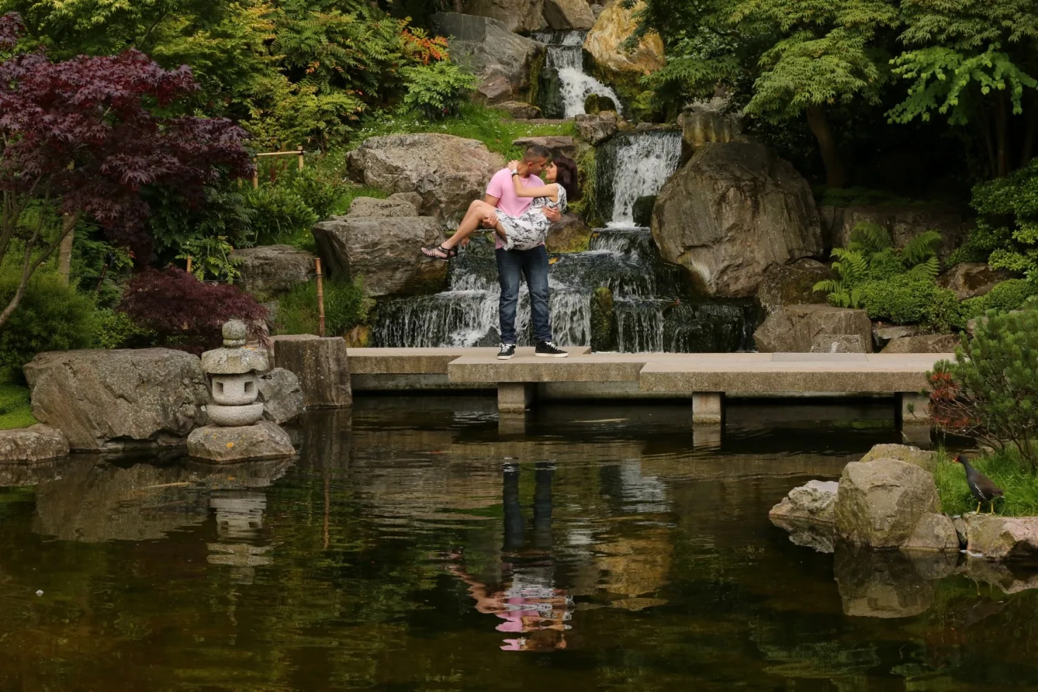 Pet Photographer in Maple Cross
